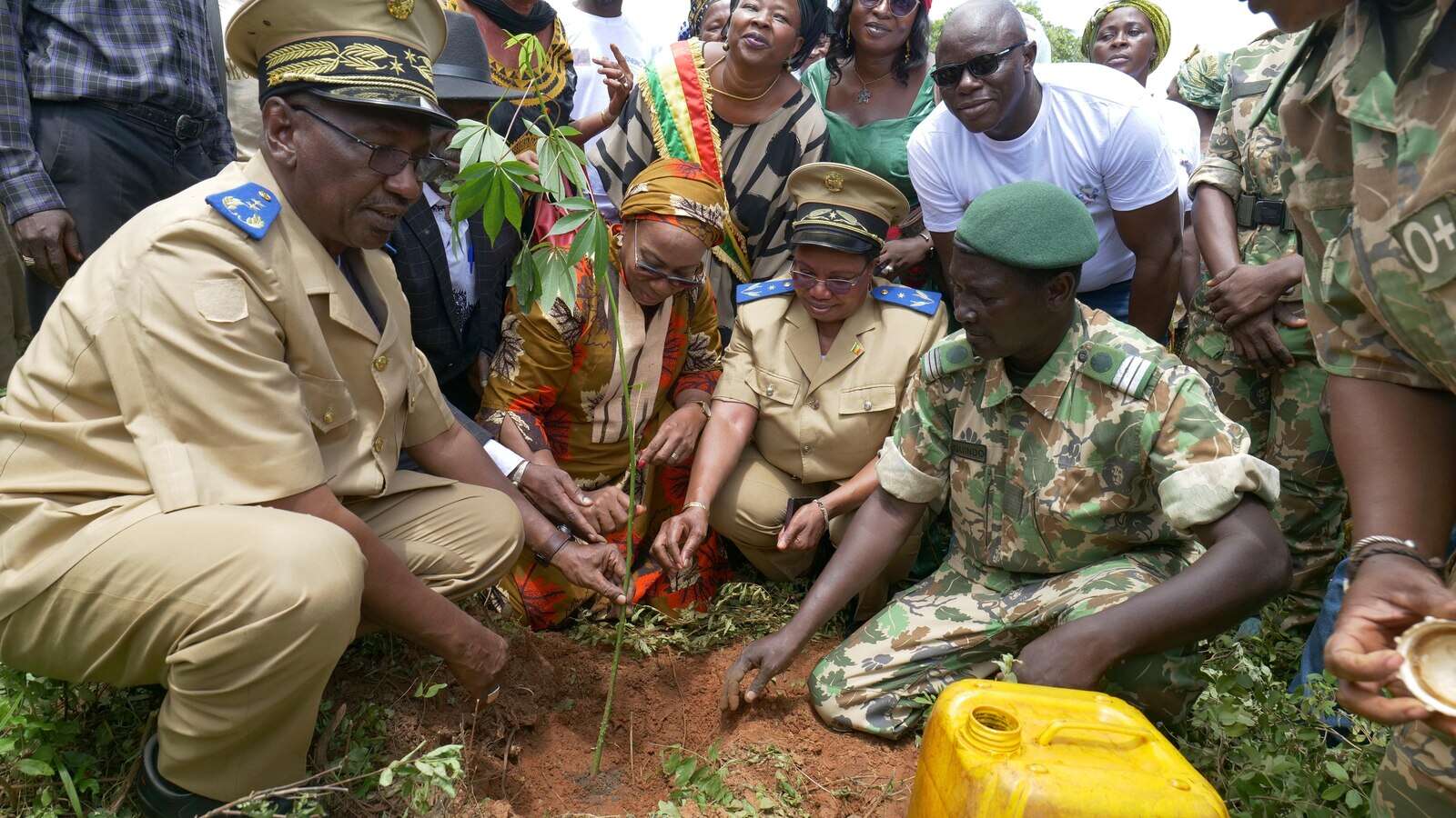 Activists plant trees in Mali but residents strip them for firewood. They say there's no choice