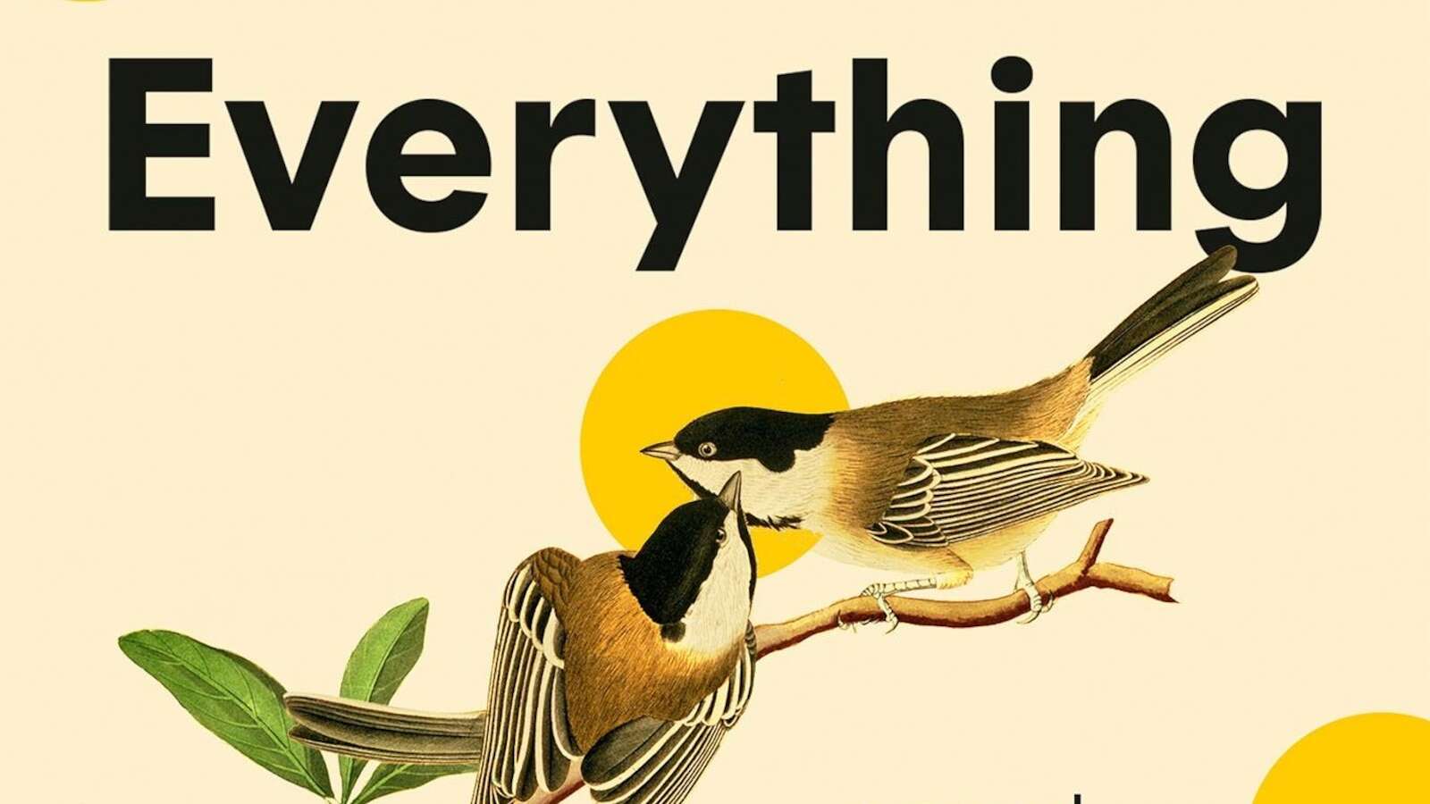 Book Review: Elizabeth Strout brings all her favorite Mainers together in 'Tell Me Everything'