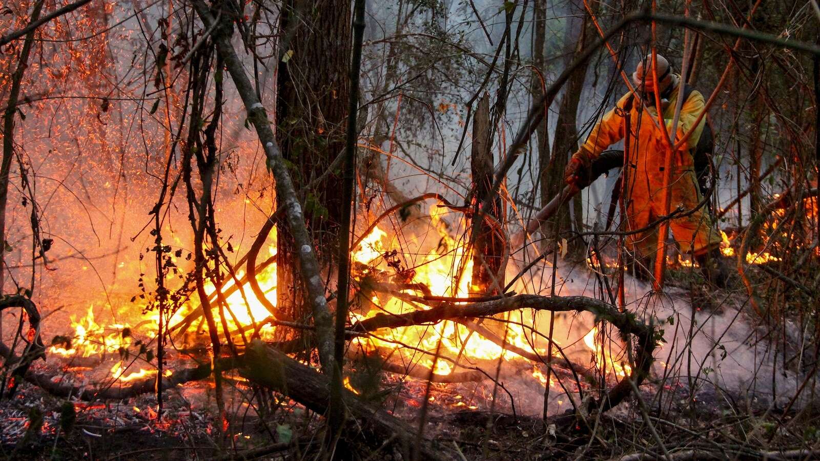 Where the worst wildfires are burning in Brazil