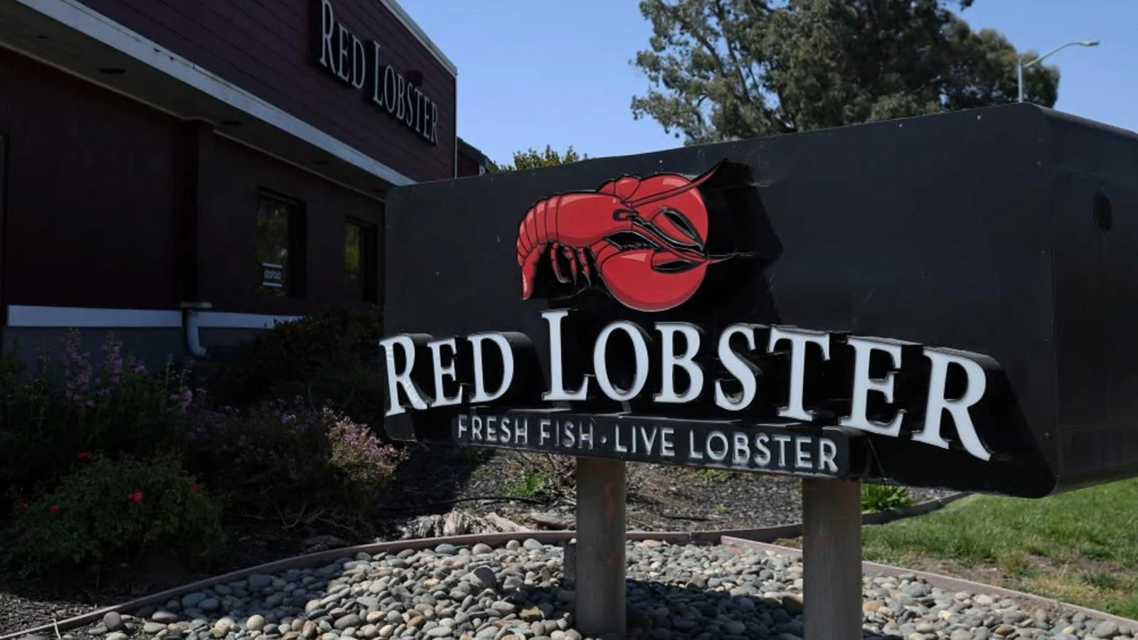 Red Lobster closes multiple locations, prepares to file for bankruptcyThe CFO of Thai Union Group spoke to ABC News about the decision.5/15/2024 09:45:31 EDT