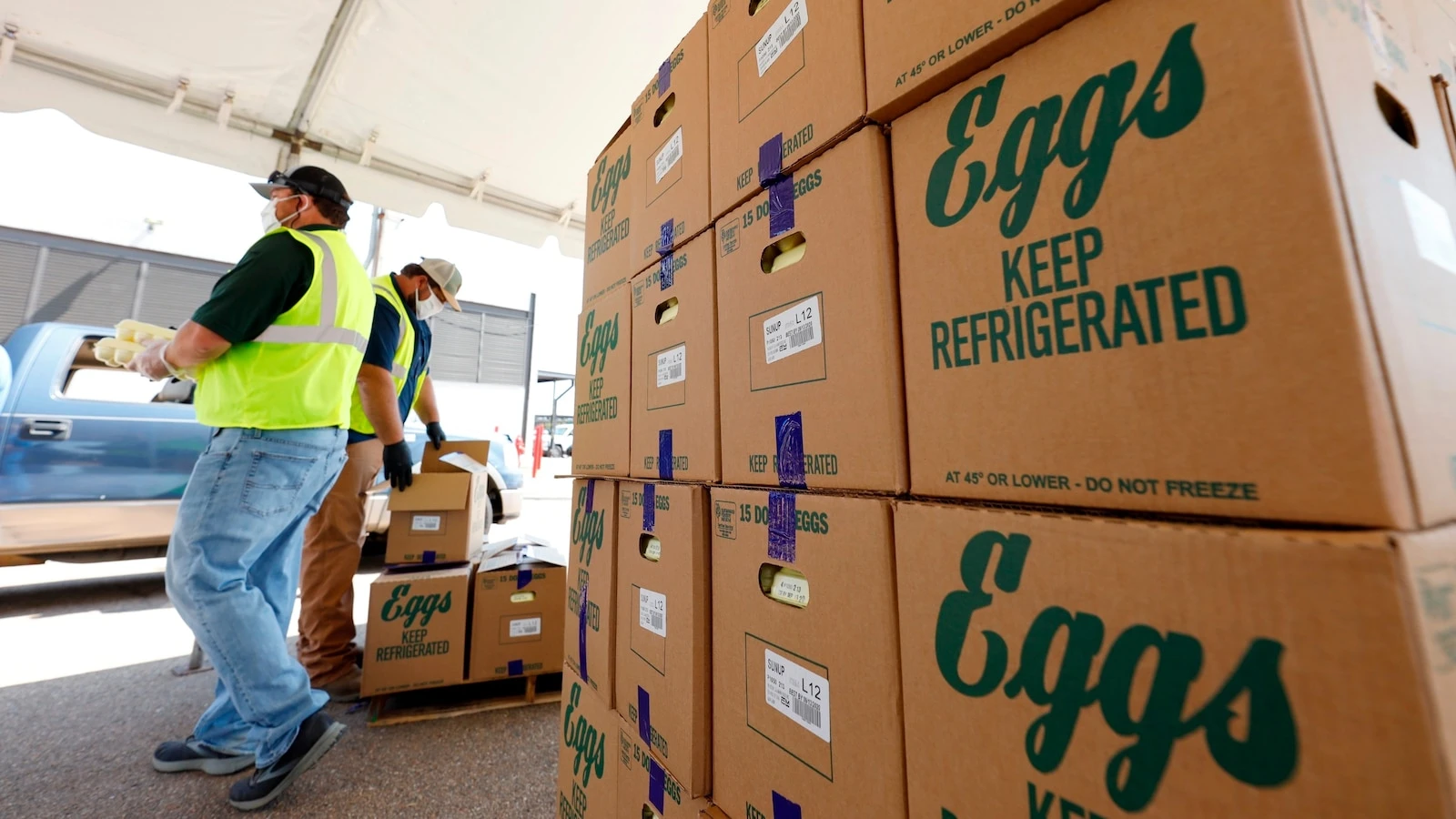 Largest US egg producer temporarily halts production due to avian fluWhat to know about the outbreak and biosecurity measures. 4/3/2024 05:53:40
