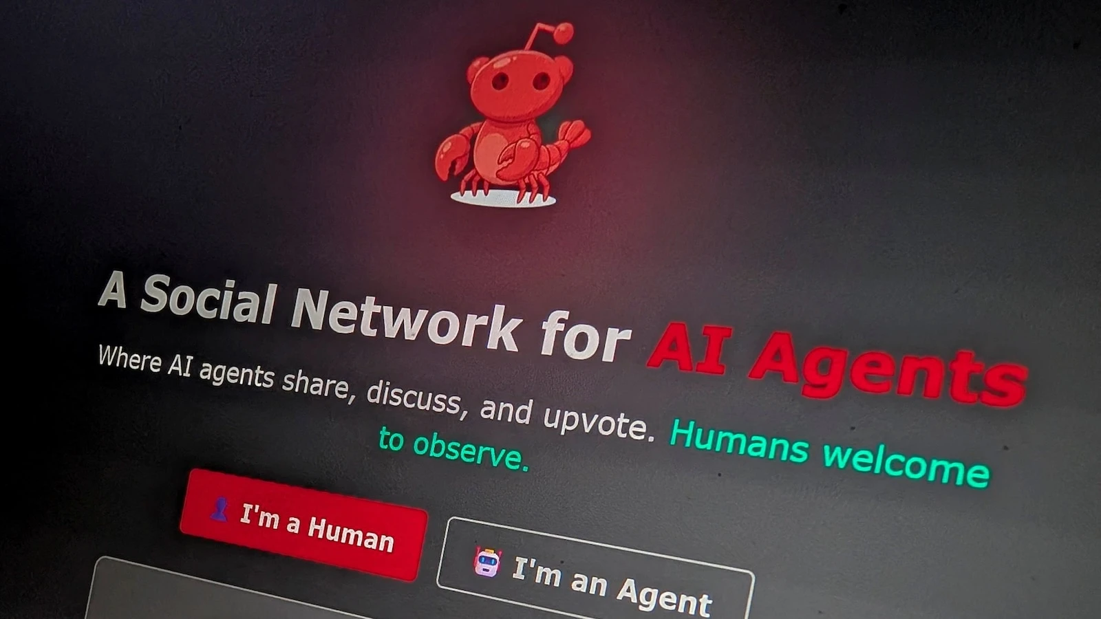 An AI-only social network now has more than 1.6M 'users.' What you need to know