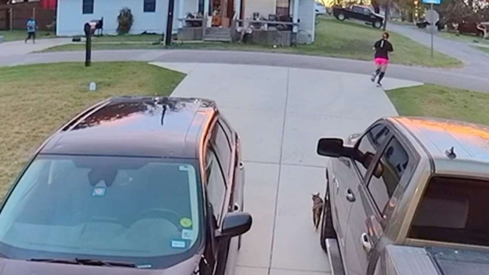 Woman going for run gets hilariously interrupted by neighbor