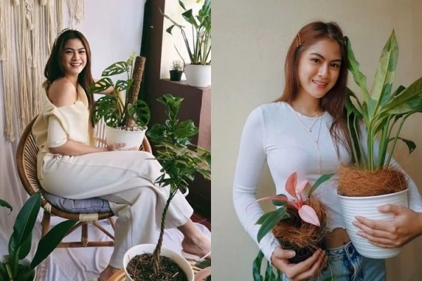 5 Koleksi Tanaman Hana Saraswati, Jadi Penghias Cantik di Cermin Rias