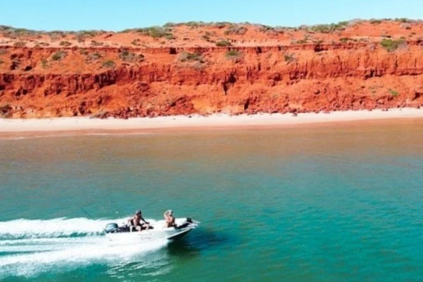 9 Pesona Shark Bay, Landmark Alam Paling Menakjubkan di Australia 