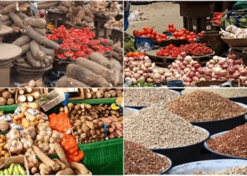 13 million Nigerians risk acute food insecurity’