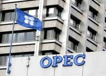OPEC warns against calls to discontinue oil, gas investments