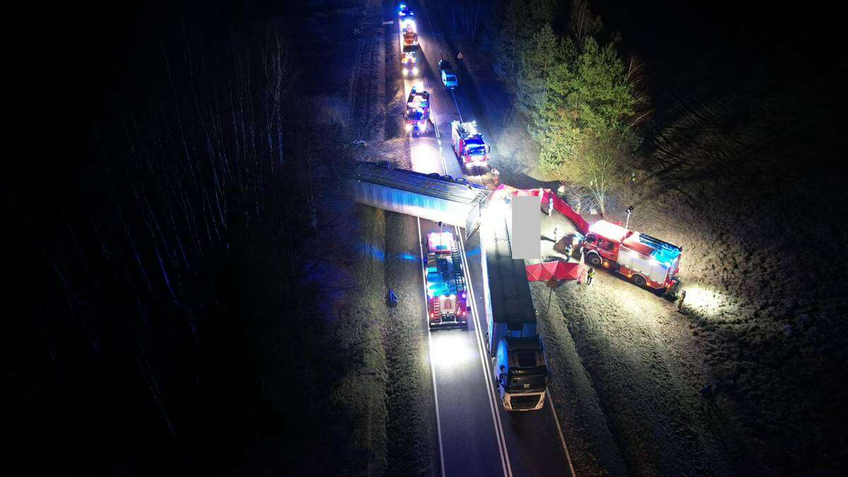 Wypadek ciężarówki przewożącej świnie. Niecodzienna akcja służb