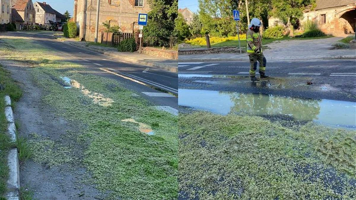 Nietypowa interwencja. Tony groszku na ulicy