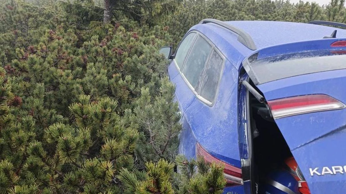 Skradzione auto ukryte wysoko w górach. Złodzieje zaparkowali w kosodrzewinie