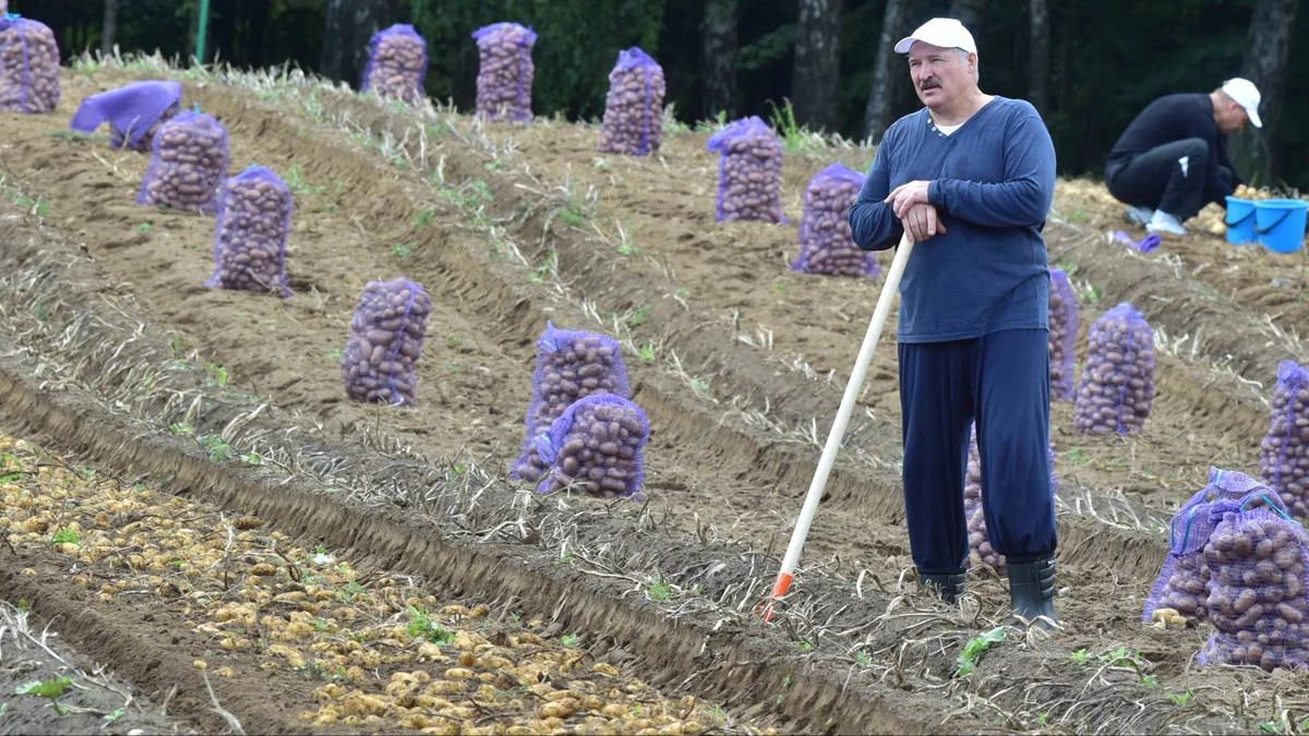 Puste półki w sklepach na Białorusi. Mińsk podjął decyzję
