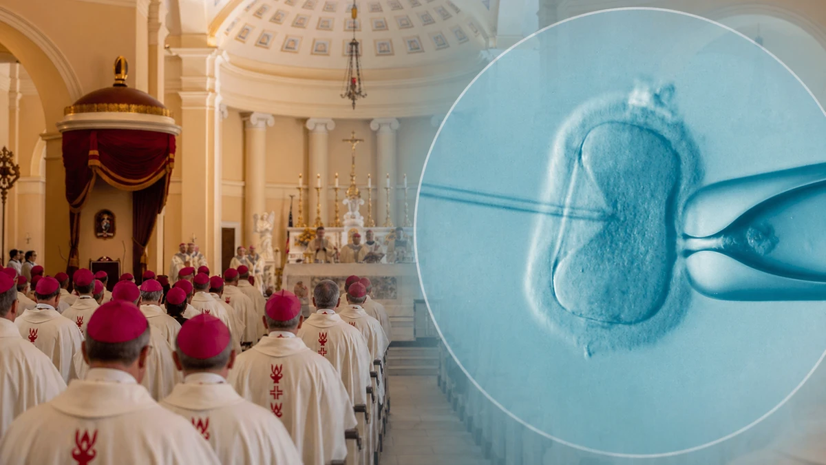 Biskupi USA przeciwko in vitro. 
