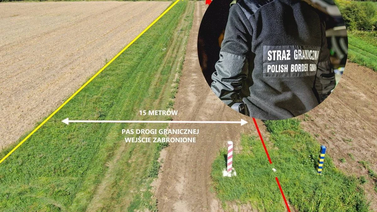 Takie zdjęcie może słono kosztować. 