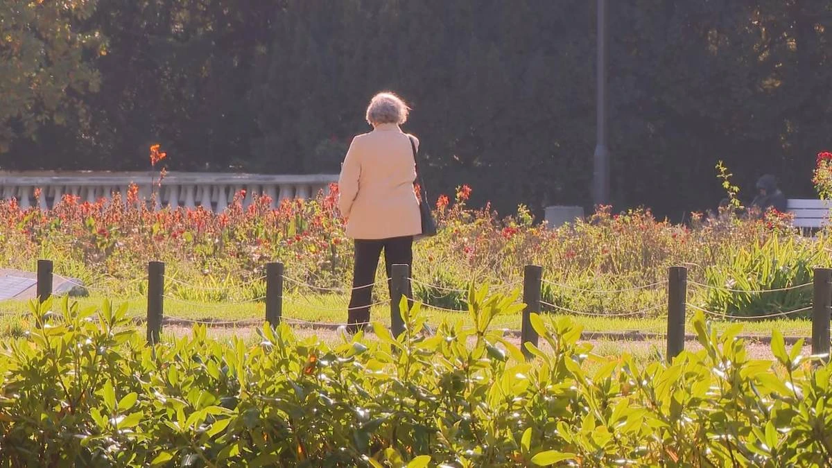 Zaskakujące przywileje po sześćdziesiątce. Pomogą dopiąć budżet 