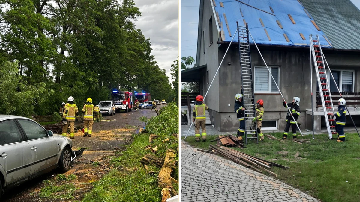 Prawie 850 interwencji. Zniszczenia w Polsce po burzach