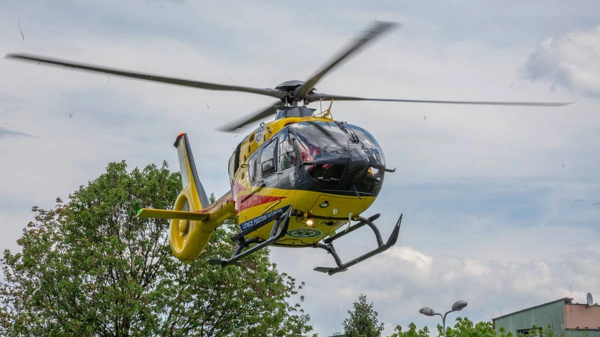 Drzewo runęło na przechodniów. Dwie osoby ranne