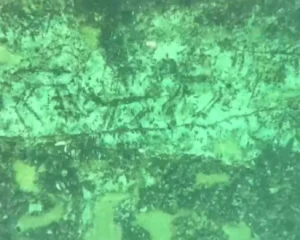 Археологи знайшли під водою 12-тисячолітні малюнки