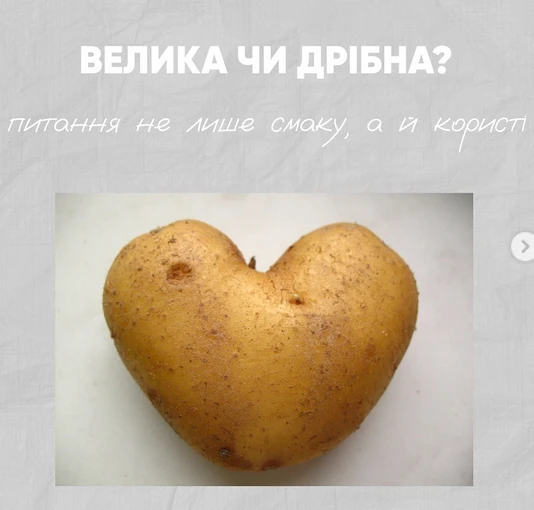 Велика чи дрібна зі шкіркою: яка картопля корисніша для фігури та здоров'я