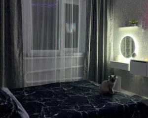 П'ять речей у домі, які притягують гроші