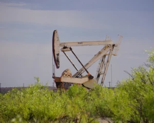 Ринок нафти зреагував зниженням цін на перспективу збільшення видобутку ОПЕК+