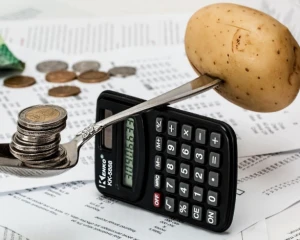 Нардеп розповів, чи планує уряд в проекті бюджету сюрпризи