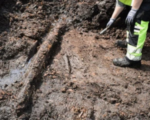 У шведському болоті знайшли поселення віком 5 тис. років