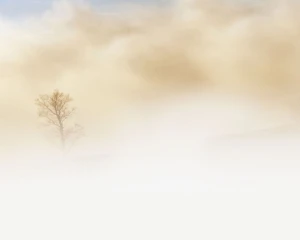 Киян попередили про небезпеку: сьогодні можлливий сильний туман