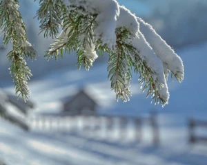 Українські зими скоротилися майже на місяць і стають усе теплішими