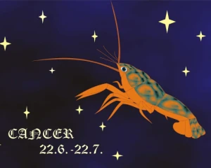 З грязі в князі: ці три знаки, які стануть фінансового незалежними