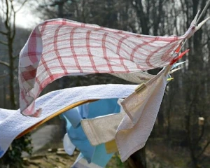 Помилка, яка псує усе прання: як правильно сушити речі, щоб приємно пахли
