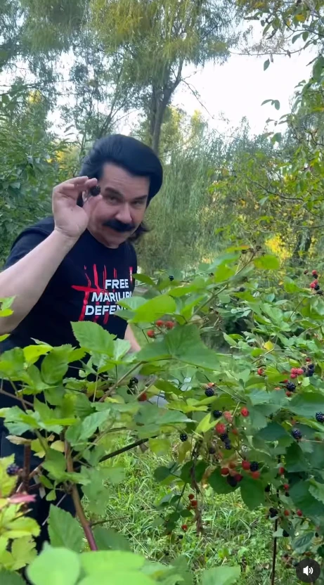 Павло Зібров поділився, як збирає врожай у заміському будинку