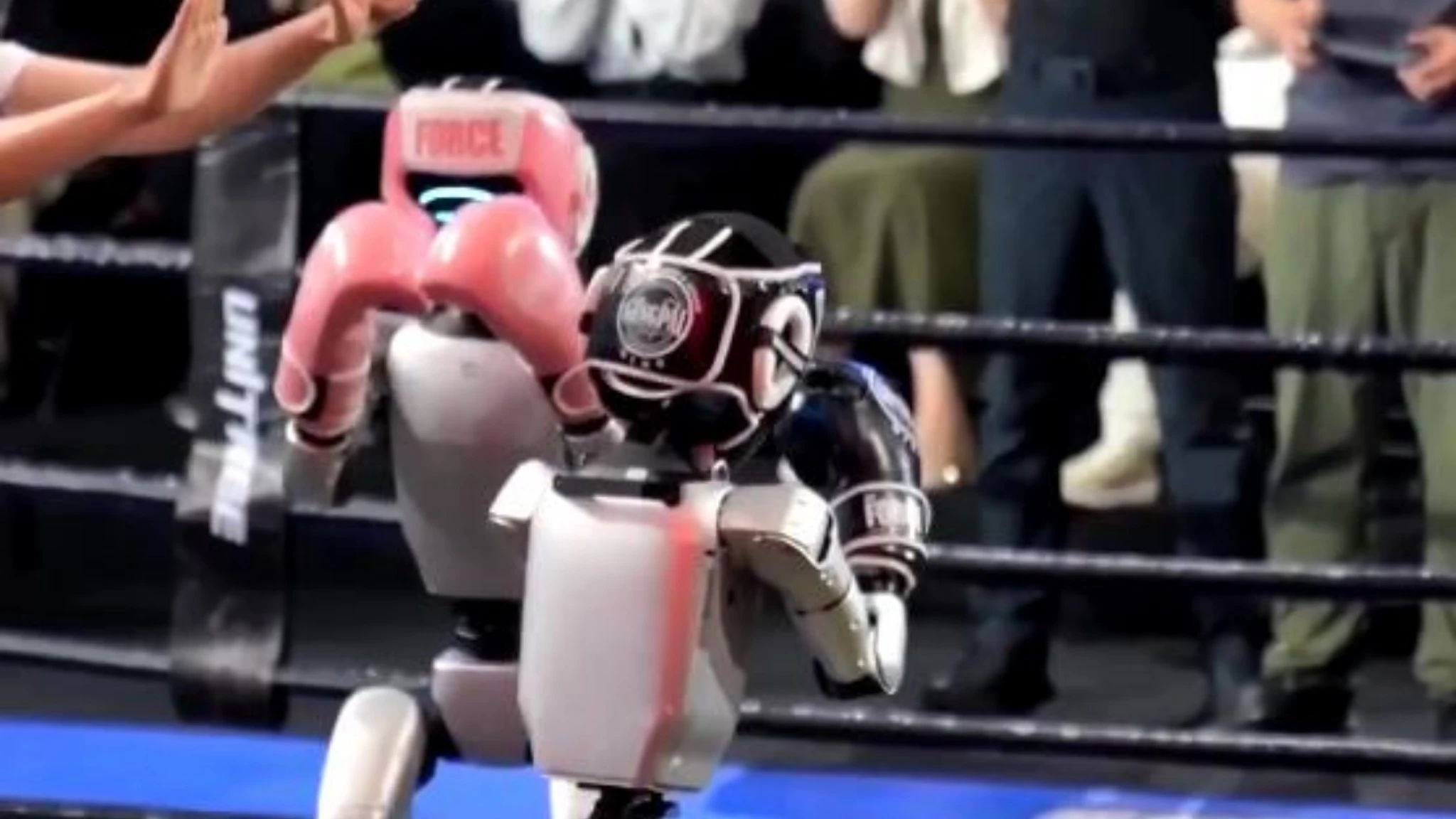 Ecco i pugili robot: umanoidi sferrano pugni sul ring, intrattenendo i fan cinesi