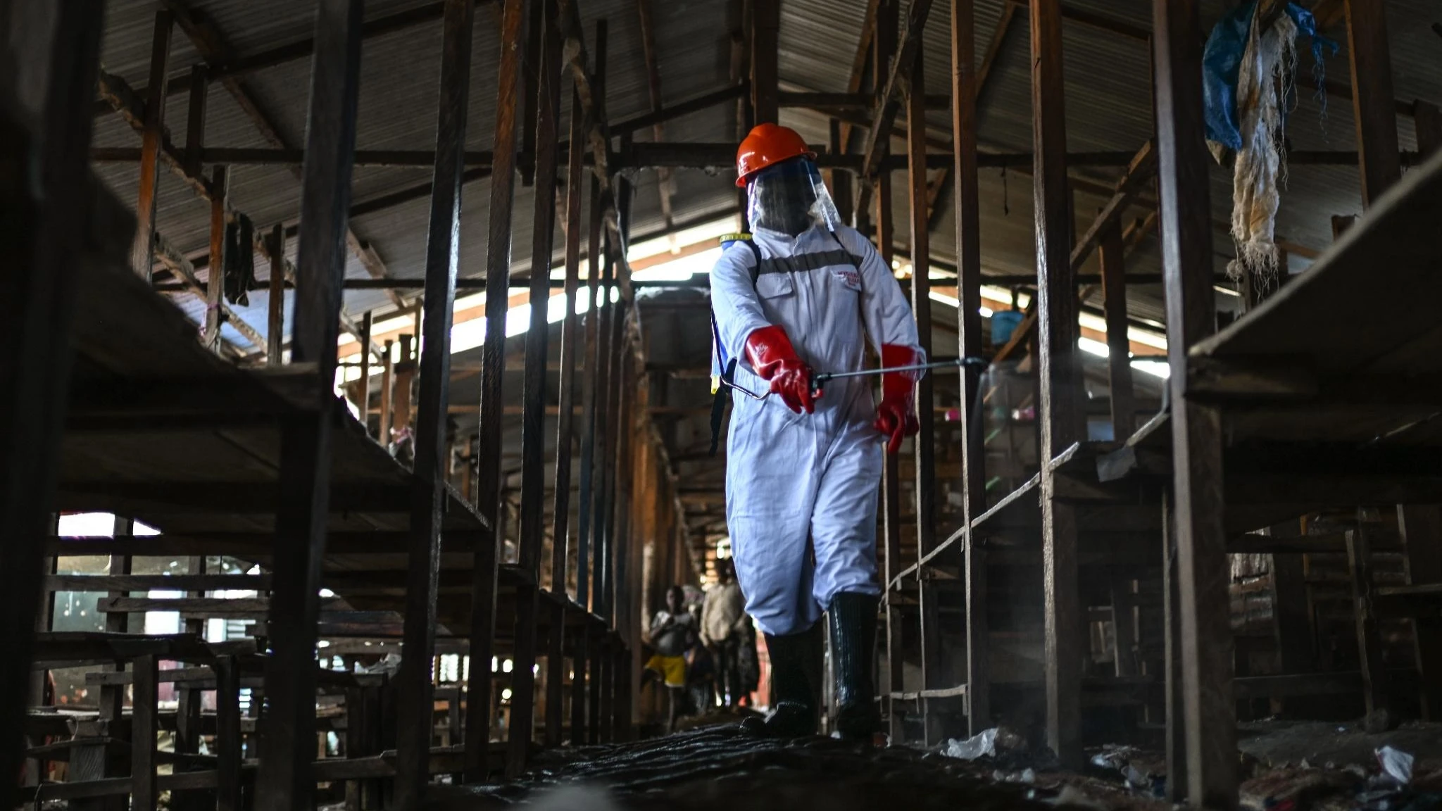 Oms chiede tregua in Congo per contenere l'Ebola: 