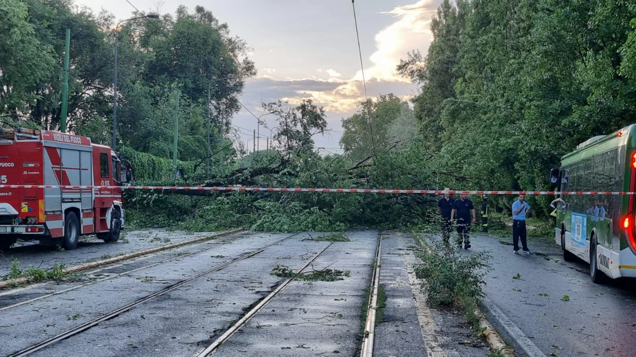 Violento nubifragio su Milano, decine di alberi caduti: oltre cento chiamate ai vigili del fuoco