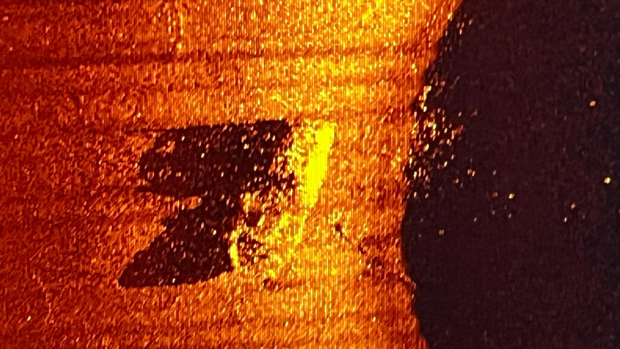 Ritrovata in fondo all’oceano l’ultima nave di Shackleton