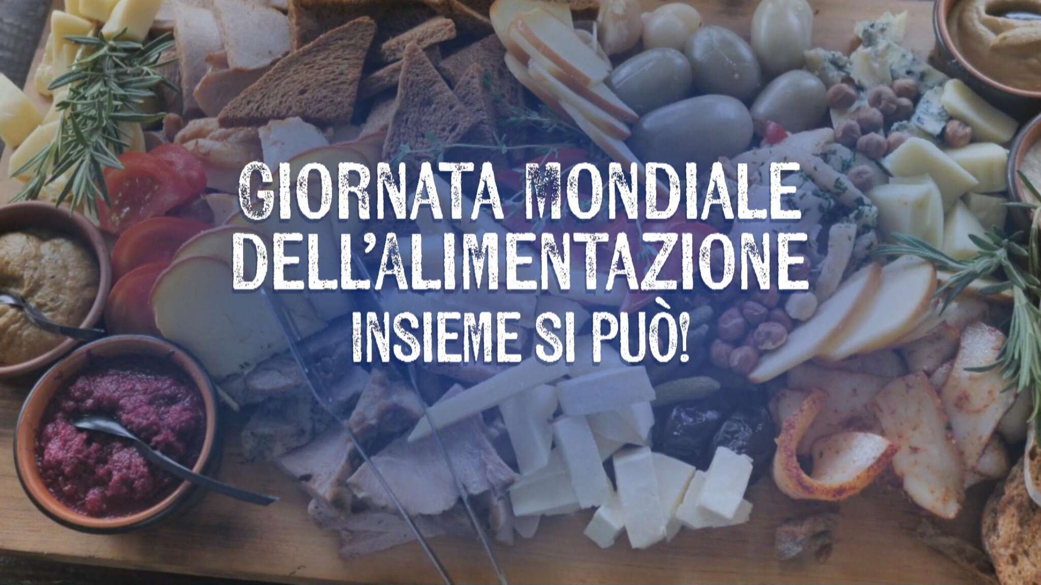 La sfida 'fallita' dell'accesso uguale al cibo, ne sprechiamo un miliardo di tonnellate ogni anno