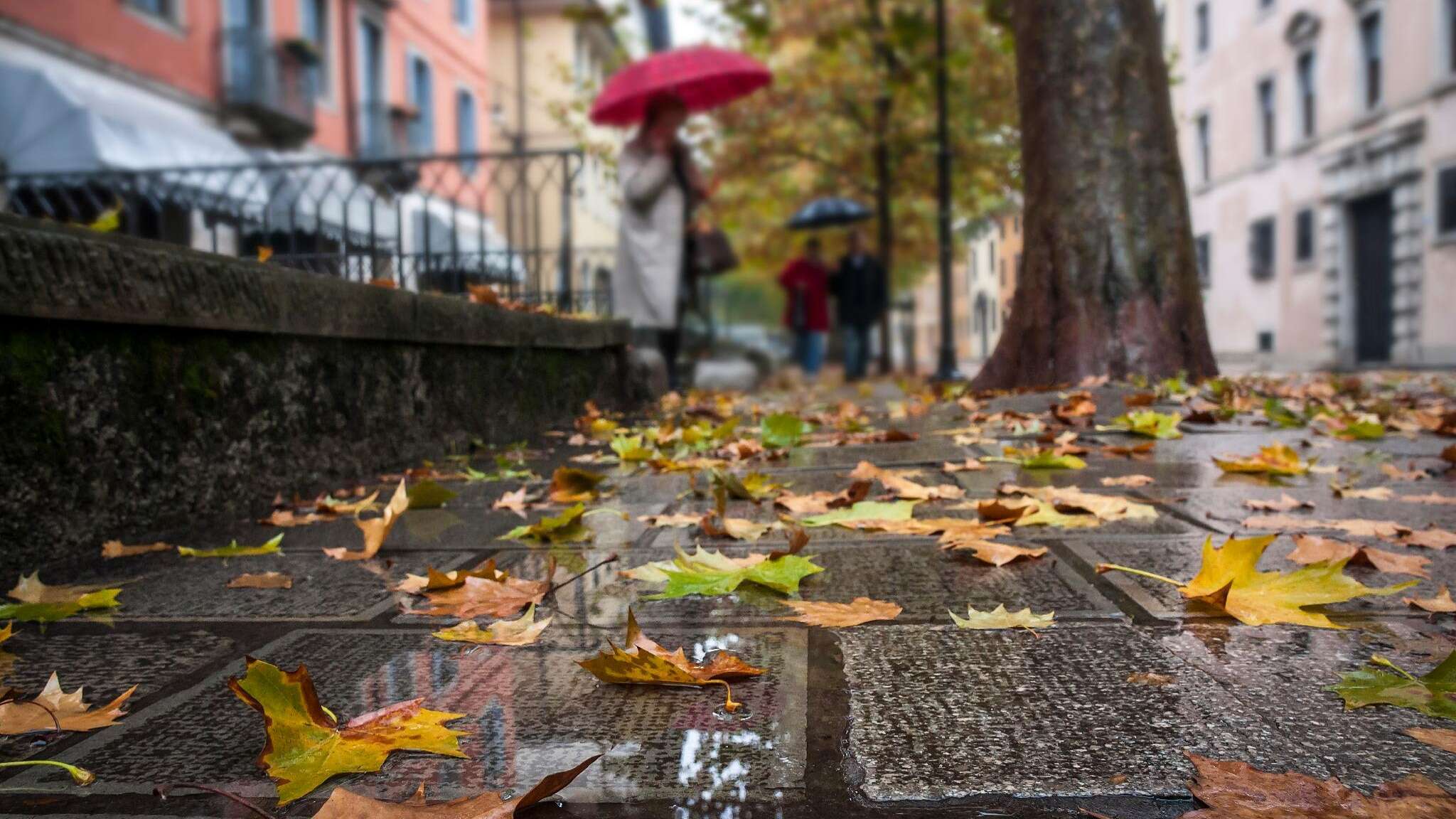 L’estate lascia spazio all’autunno: stress e stanchezza gli effetti del cambio stagione