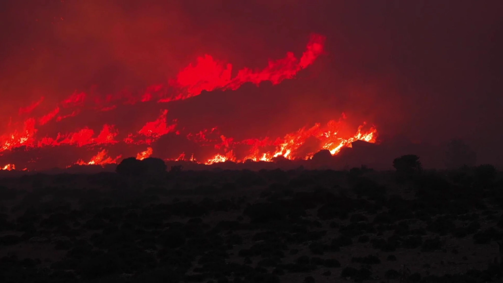 Incendi a Trapani: il Monte Cofano devastato dalle fiamme