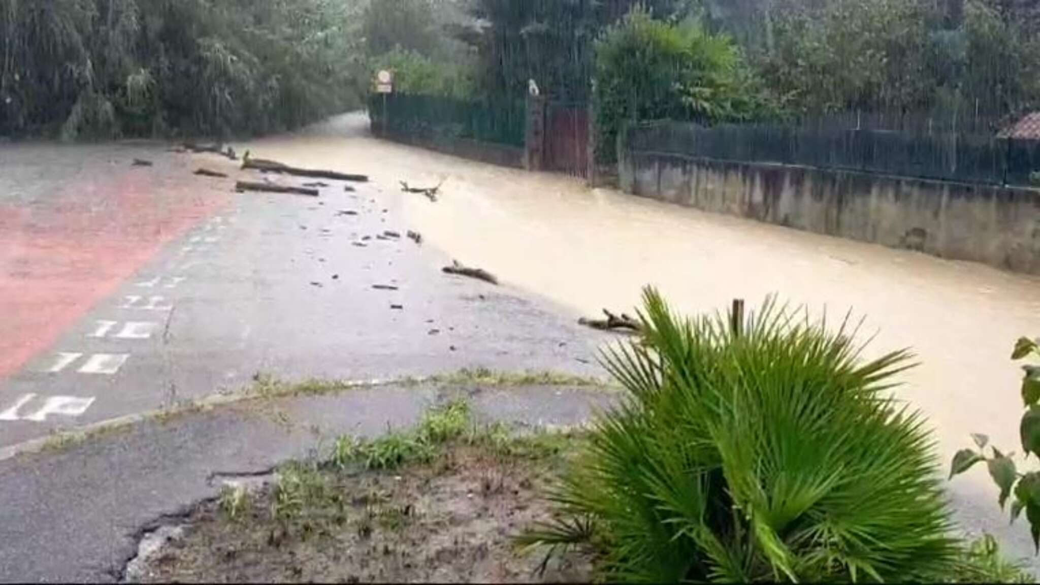 L'acqua sale a Muggia nella bassa friulana: video del fiume ingrossato che straborda sulle strade