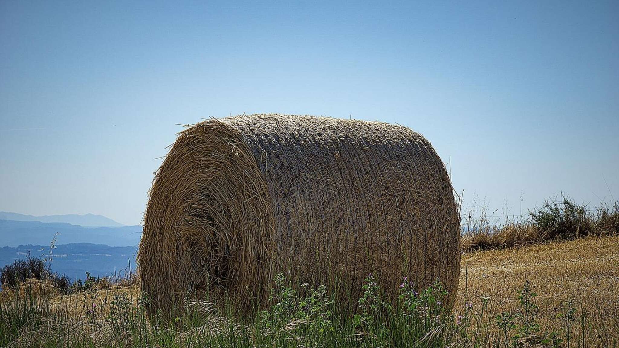 Imprenditore 67enne muore sul lavoro schiacciato da una balla di fieno a Vimercate