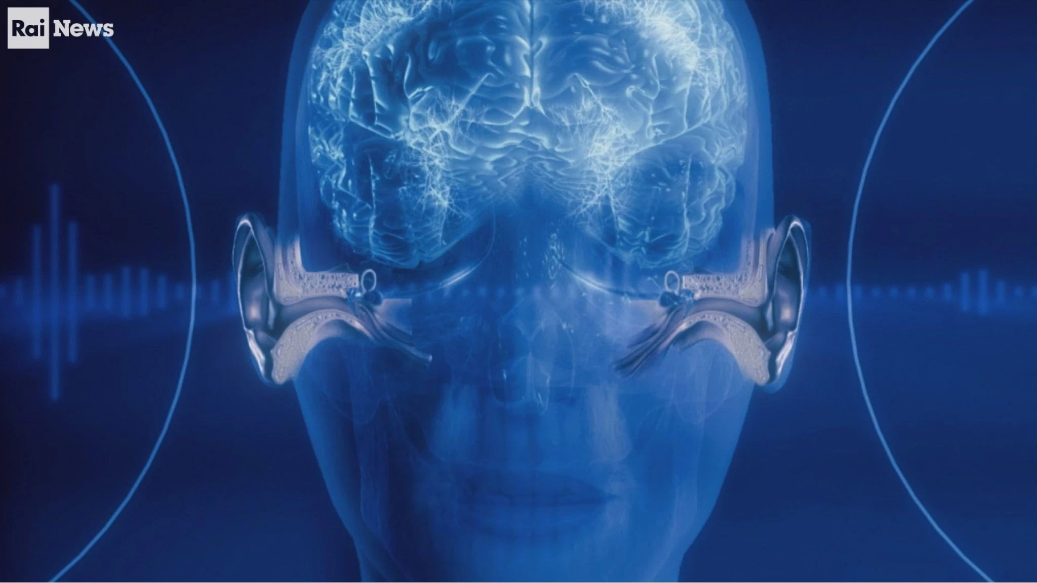 Perché l’opera lirica fa bene al cuore e al cervello