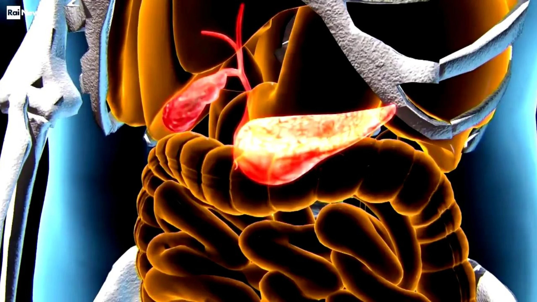 Tumore al pancreas, un nuovo farmaco sperimentale aumenta la sopravvivenza