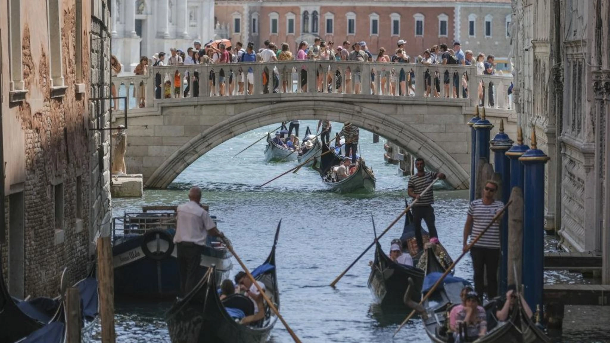 Venezia sceglie cinque campioni dell'innovazione verde