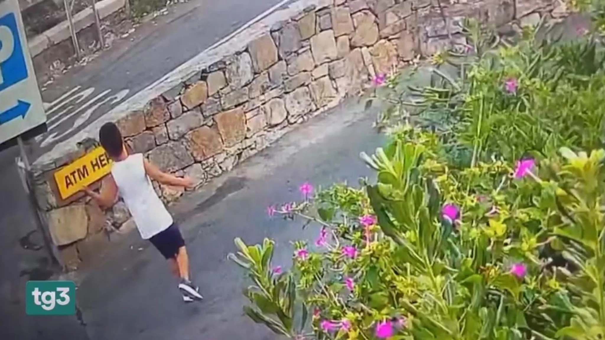 I cani molecolari seguono tracce di Alain, conducono a una villa