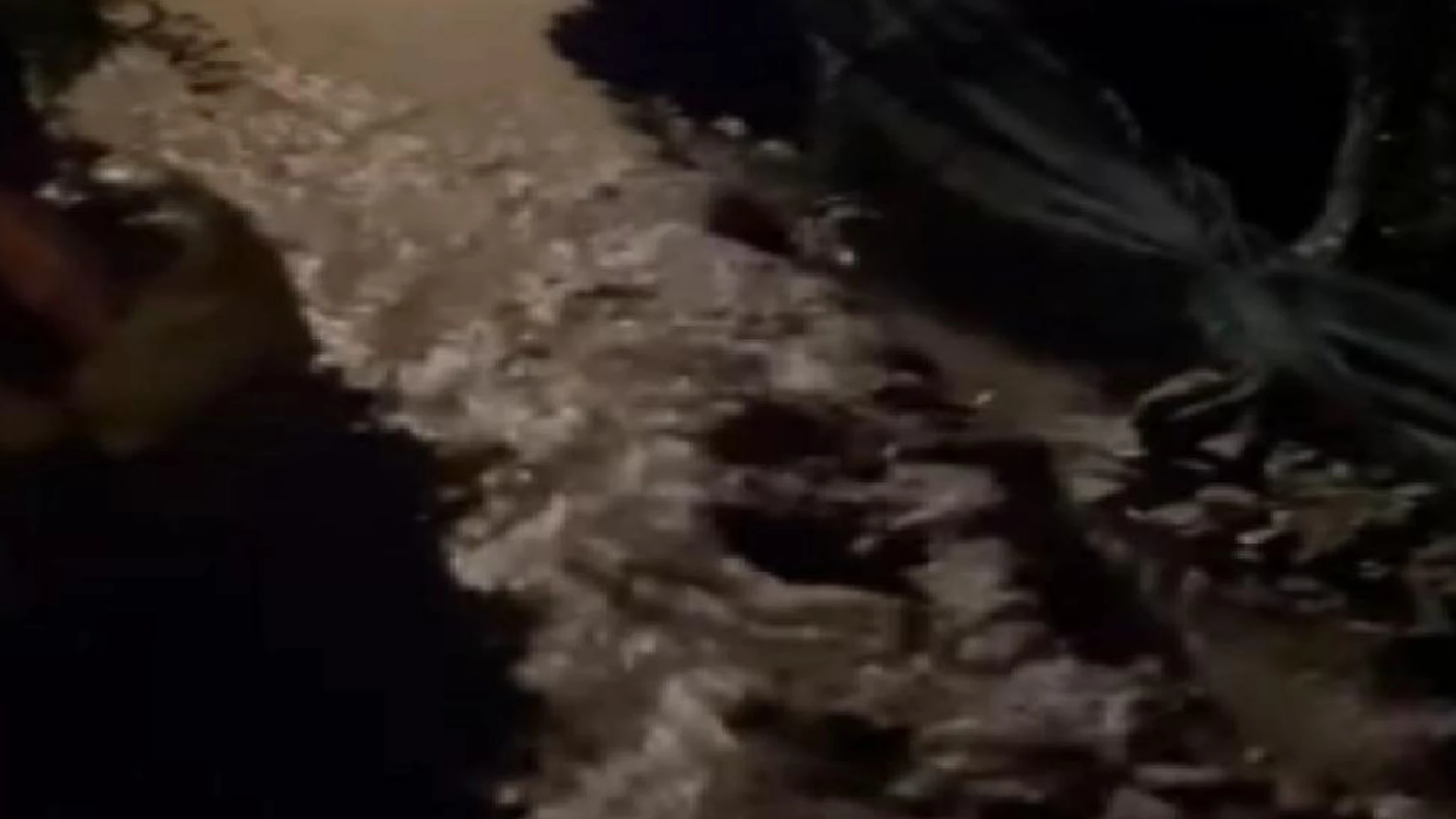 La furia dell'acqua a Blevio dove il torrente sta tracimando a causa delle forti piogge