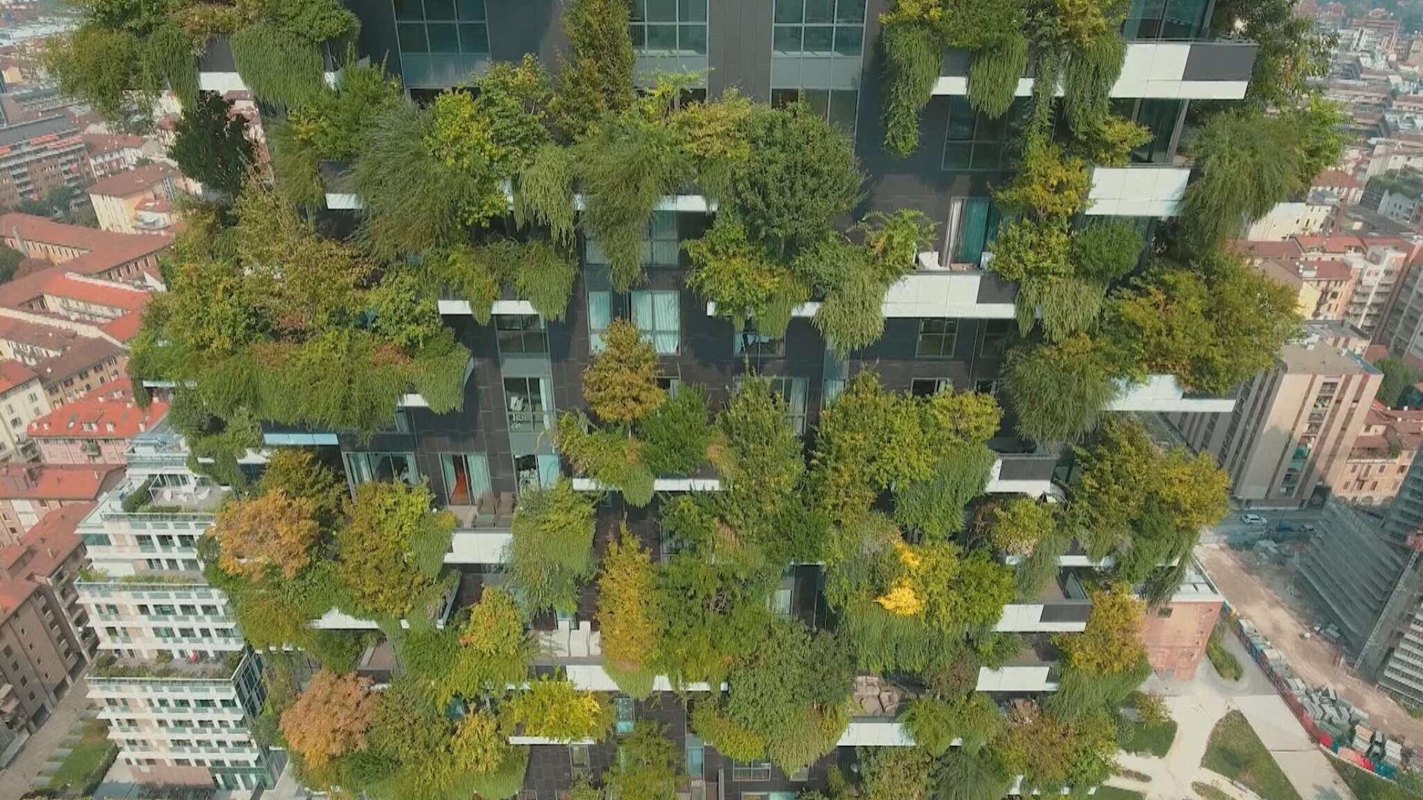 I primi 10 anni del Bosco Verticale. Boeri: “Milano è attrattiva, vinca la sfida dell’inclusione”