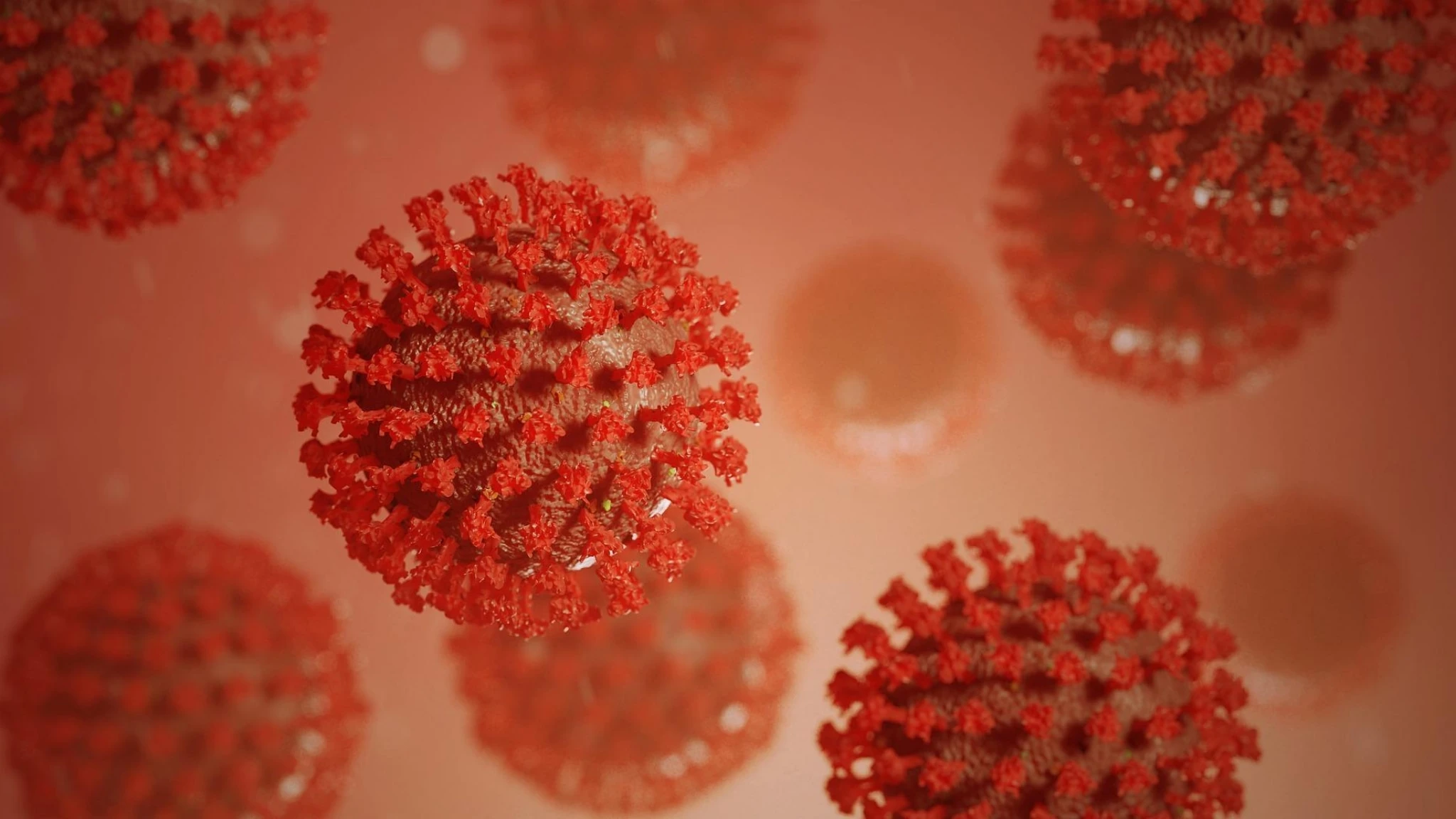 Covid, cresce nuova variante Nimbus. Oms: “Attività virus torna a livelli luglio 2024”