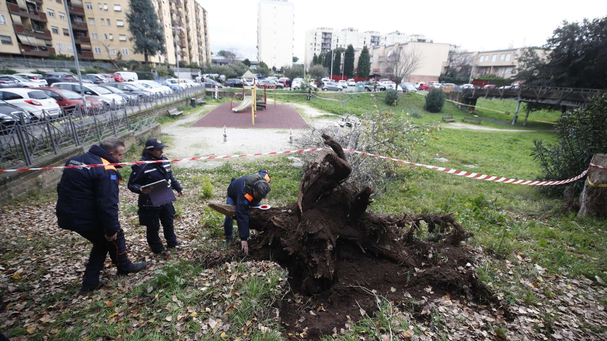 Allerta vento, neve e temporali al centro e al Sud: a Roma muore una donna colpita da un albero