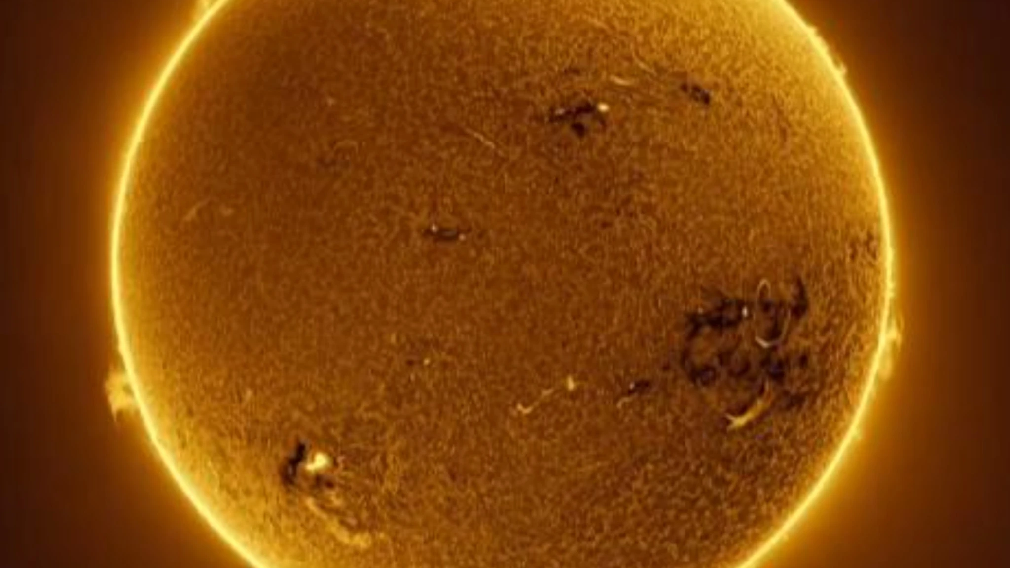 Brillamenti, getti di plasma, macchie e campi magnetici: la rovente attività solare in timelapse