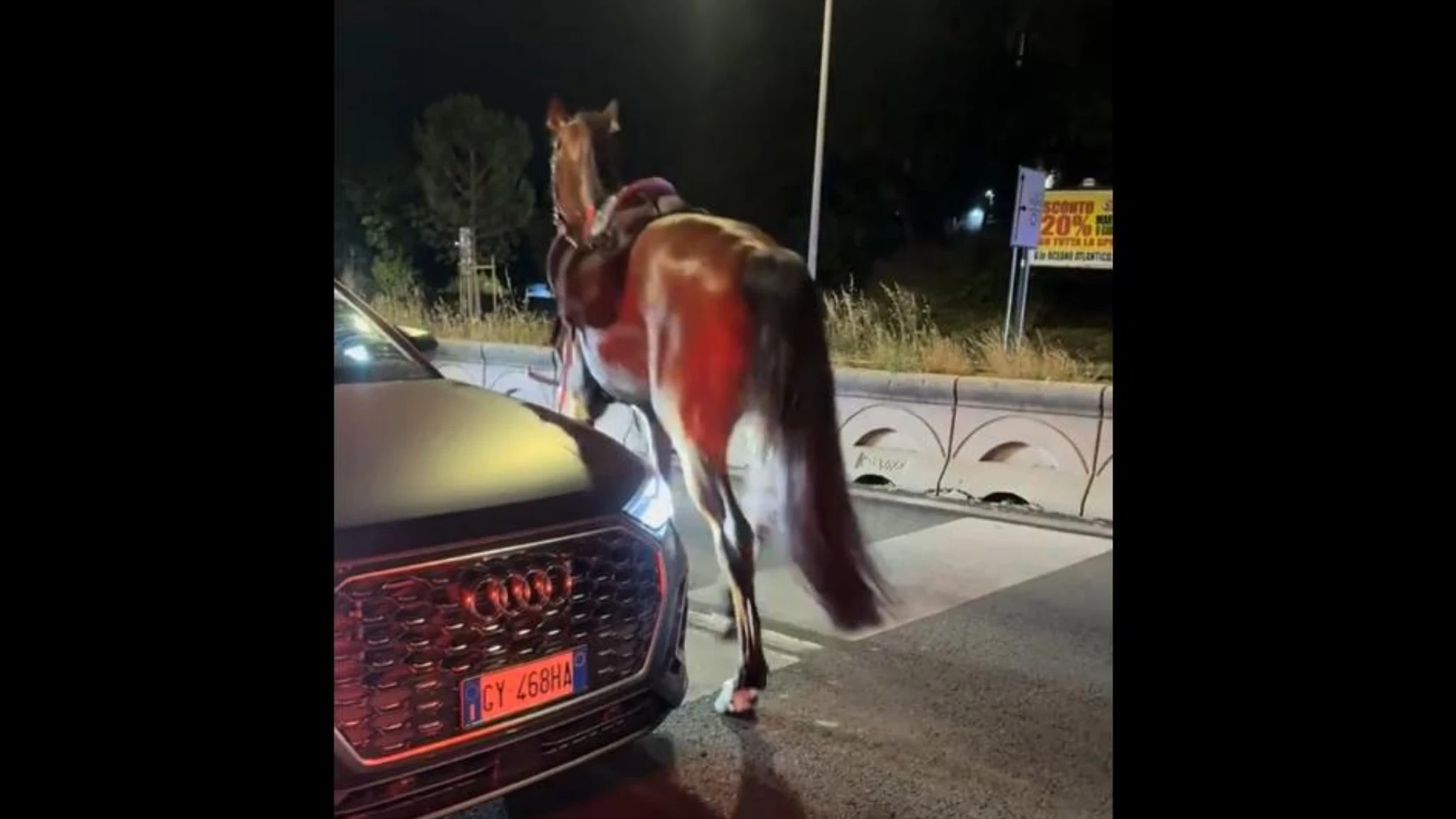Cavalli della parata del 2 giugno in fuga, spaventati da botti. Quattro feriti di cui 2 gravi